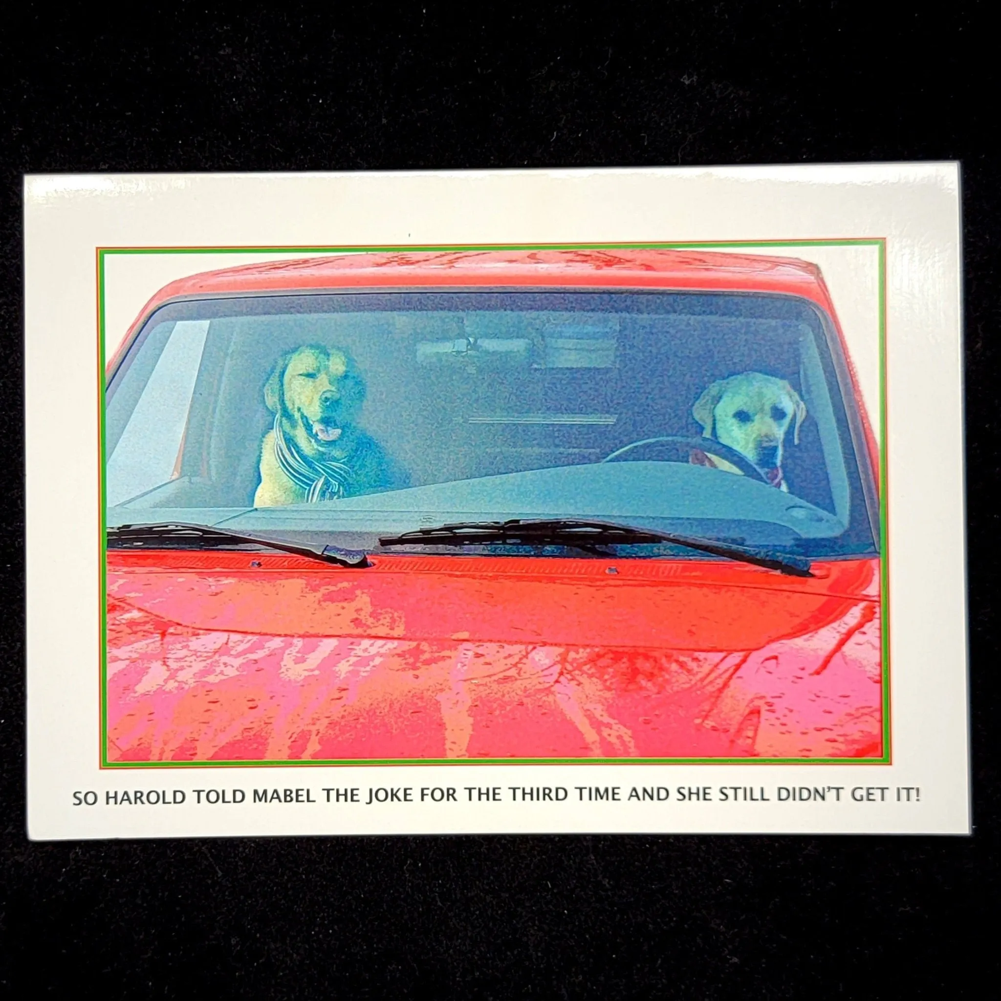 Dogs Driving Greeting Card