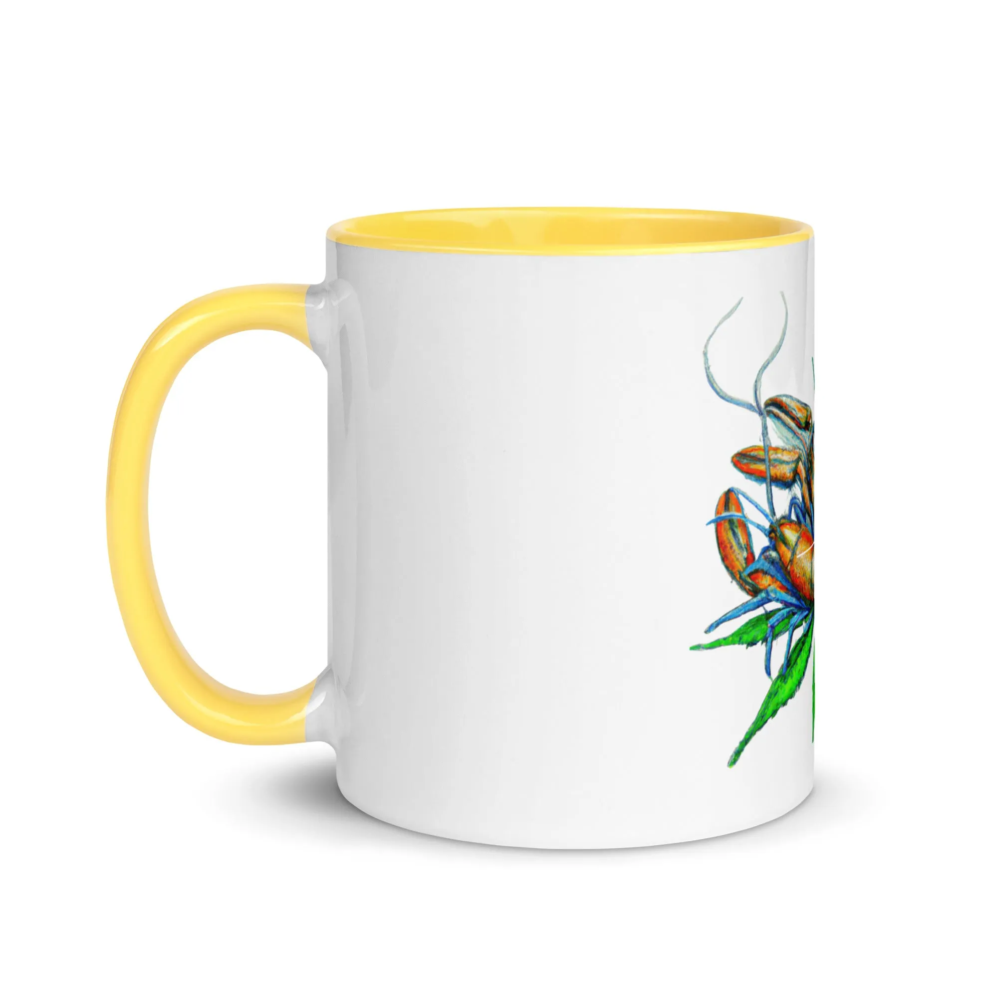 Mug with Color Inside