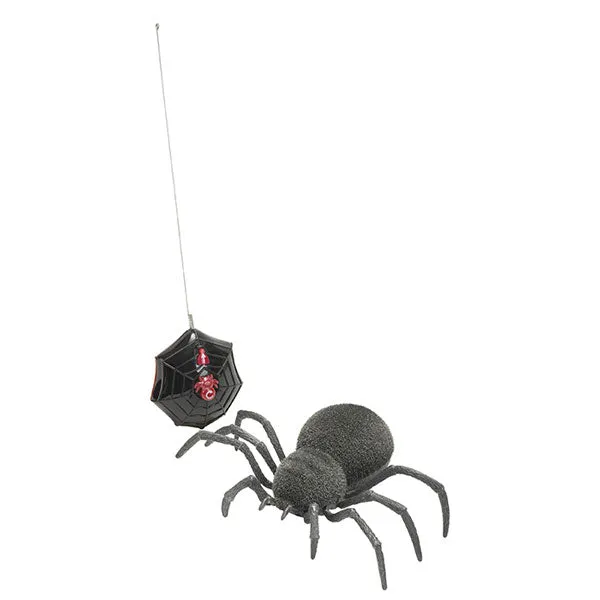 Spooky Spider RC