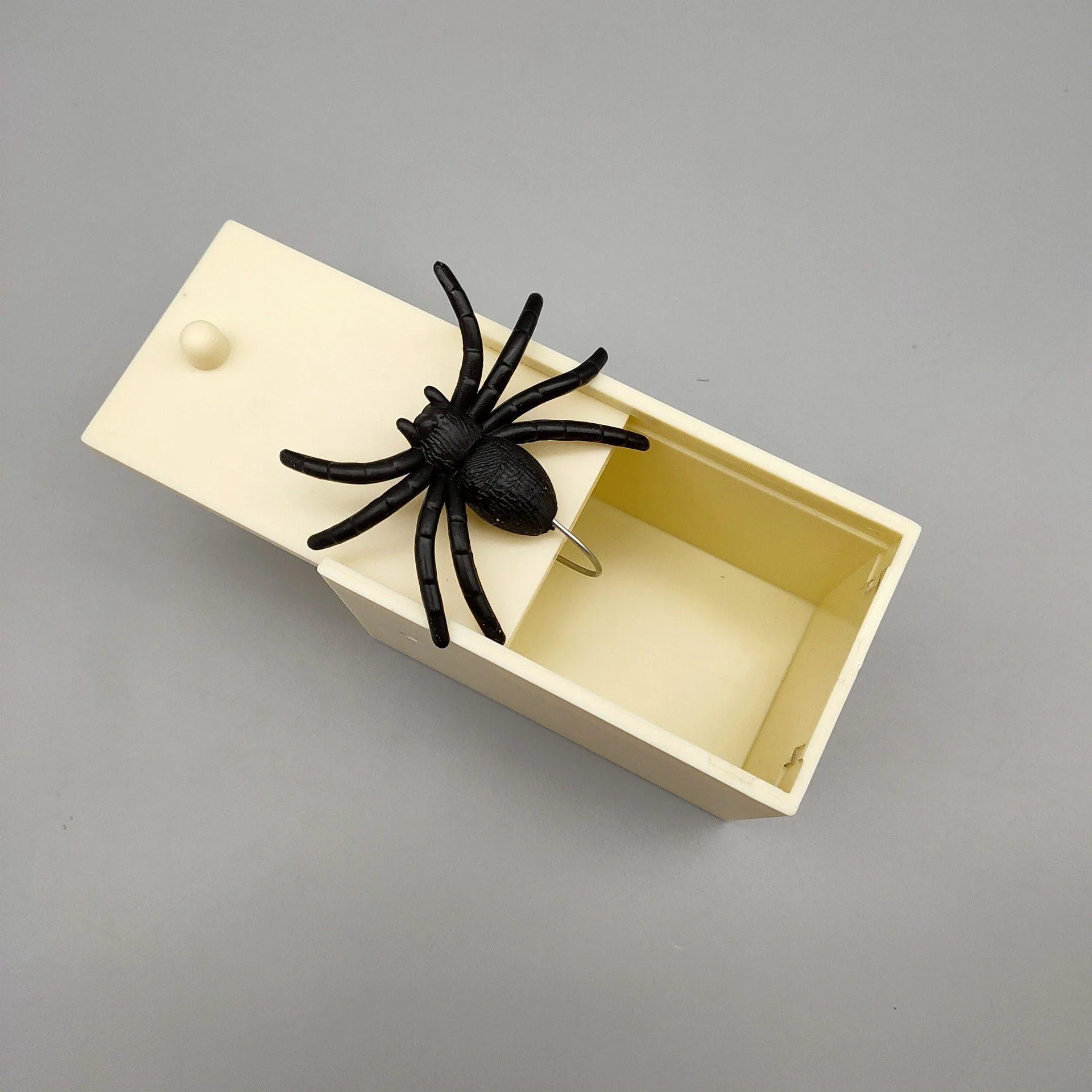 Surprising Box With Spider Inside